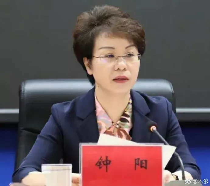 Former Chinese Official Jailed 13 Years for Corruption, Sexual Misconduct