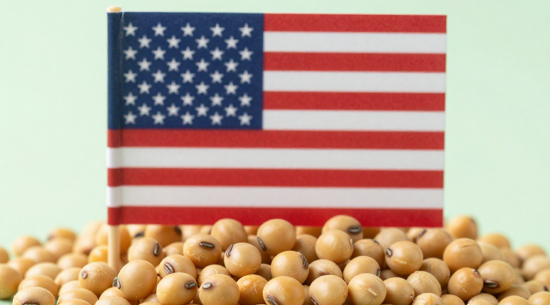 China Meets Soybean Import Pledge Ahead of U.S. Summit, Industry Group Says